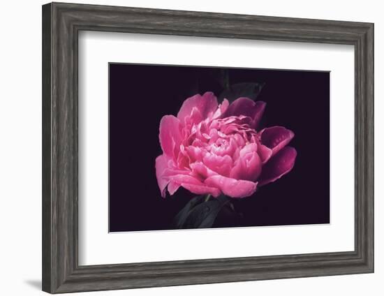 Differently-Philippe Sainte-Laudy-Framed Photographic Print