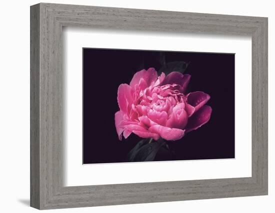 Differently-Philippe Sainte-Laudy-Framed Photographic Print