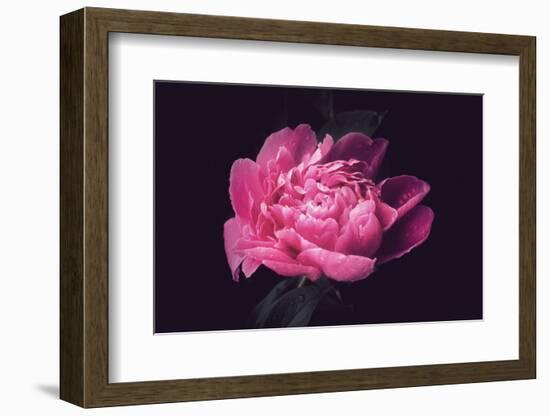 Differently-Philippe Sainte-Laudy-Framed Photographic Print