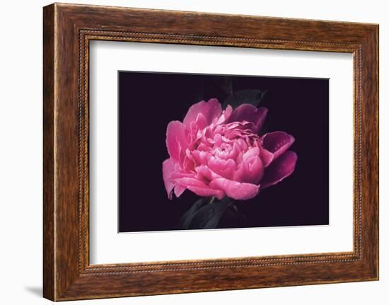 Differently-Philippe Sainte-Laudy-Framed Photographic Print