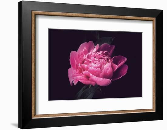 Differently-Philippe Sainte-Laudy-Framed Photographic Print