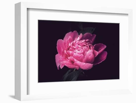 Differently-Philippe Sainte-Laudy-Framed Photographic Print