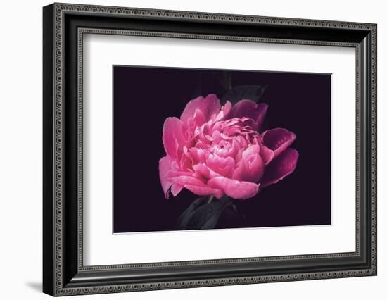 Differently-Philippe Sainte-Laudy-Framed Photographic Print