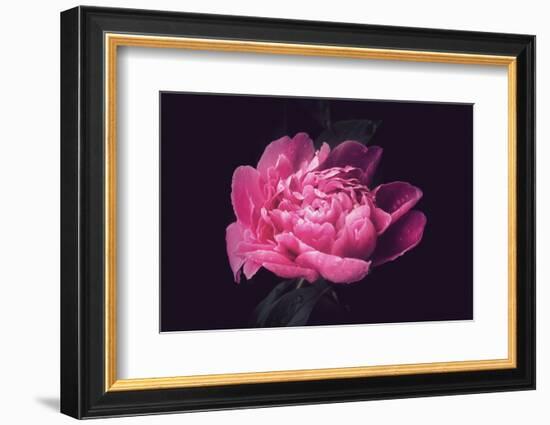 Differently-Philippe Sainte-Laudy-Framed Photographic Print