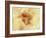 Diffused Effect of Baby Feet, Lacen and Booties-Steve Satushek-Framed Photographic Print