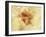 Diffused Effect of Baby Feet, Lacen and Booties-Steve Satushek-Framed Photographic Print