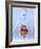 Digestive System, Artwork-Roger Harris-Framed Photographic Print