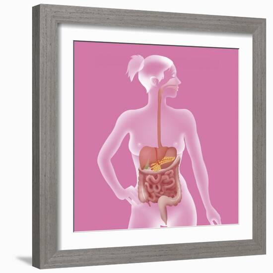 Digestive System, Illustration-Caroline Arquevaux-Framed Giclee Print