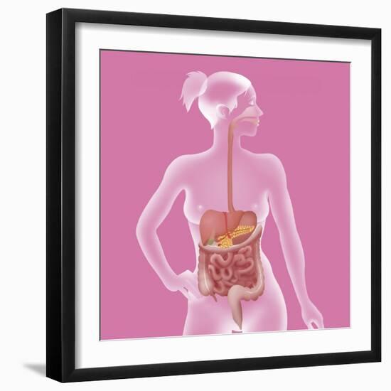 Digestive System, Illustration-Caroline Arquevaux-Framed Giclee Print