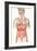 Digestive System-John Bavosi-Framed Photographic Print