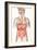 Digestive System-John Bavosi-Framed Photographic Print