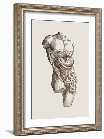 Digestive System-Mehau Kulyk-Framed Photographic Print