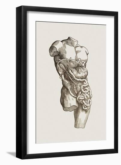 Digestive System-Mehau Kulyk-Framed Photographic Print