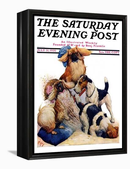 "Digging Doggy," Saturday Evening Post Cover, July 31, 1926-Robert L. Dickey-Framed Premier Image Canvas