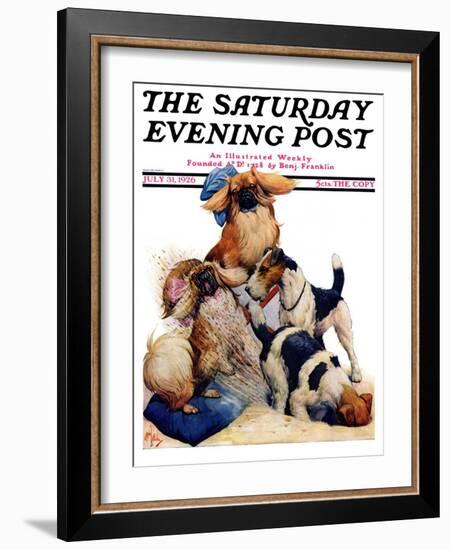 "Digging Doggy," Saturday Evening Post Cover, July 31, 1926-Robert L. Dickey-Framed Giclee Print