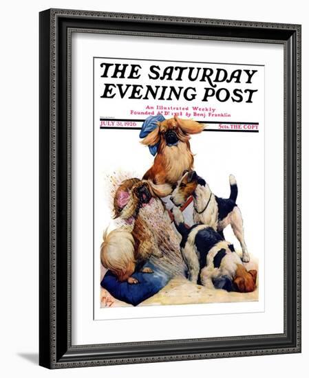 "Digging Doggy," Saturday Evening Post Cover, July 31, 1926-Robert L. Dickey-Framed Giclee Print