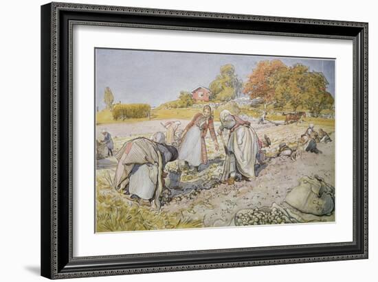 Digging Potatoes, 1905-Carl Larsson-Framed Giclee Print