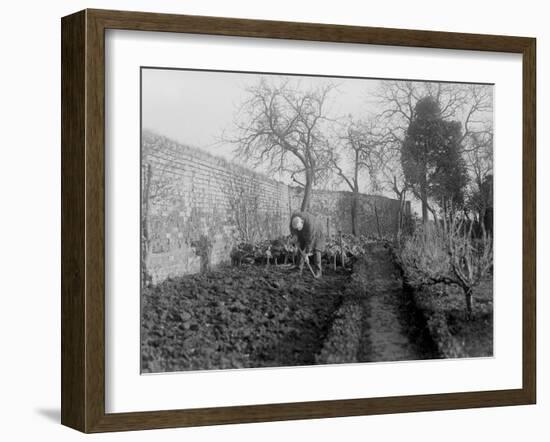 Digging the Garden-null-Framed Photographic Print