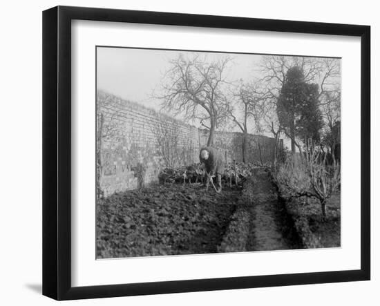 Digging the Garden-null-Framed Photographic Print