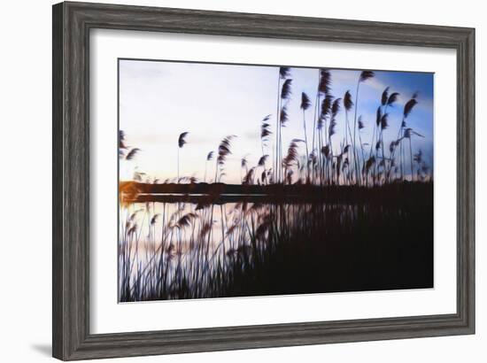 Digital art phragmites in blue sky sunset-Anthony Paladino-Framed Giclee Print