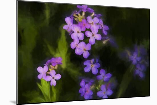 Digital art wild purple flowers-Anthony Paladino-Mounted Giclee Print