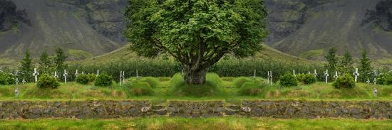 Photographic Print, , large