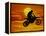 Digital Composite of Motocross Racer Doing Jump-Steve Satushek-Framed Premier Image Canvas