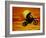 Digital Composite of Motocross Racer Doing Jump-Steve Satushek-Framed Photographic Print