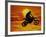 Digital Composite of Motocross Racer Doing Jump-Steve Satushek-Framed Photographic Print