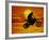 Digital Composite of Motocross Racer Doing Jump-Steve Satushek-Framed Photographic Print