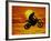 Digital Composite of Motocross Racer Doing Jump-Steve Satushek-Framed Photographic Print