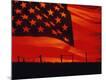 Premium Photographic Print