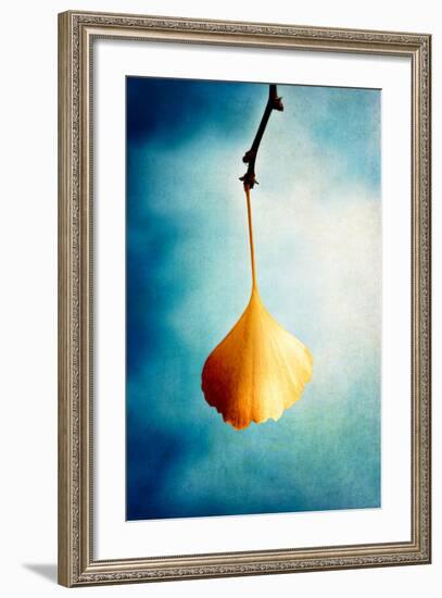 Digital Love-Philippe Sainte-Laudy-Framed Photographic Print