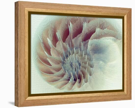 Digital Nautilus-null-Framed Stretched Canvas