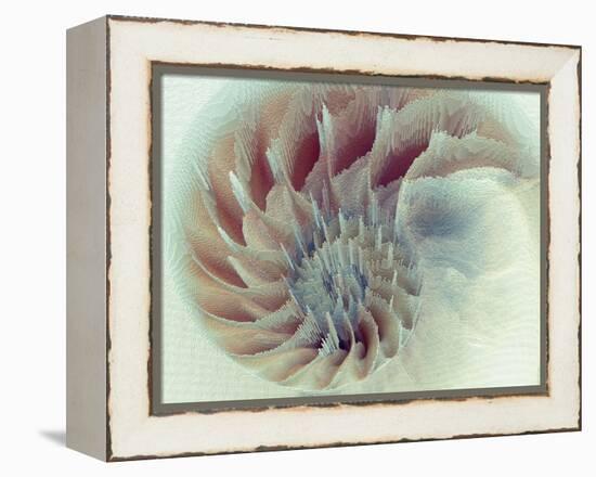 Digital Nautilus-null-Framed Stretched Canvas