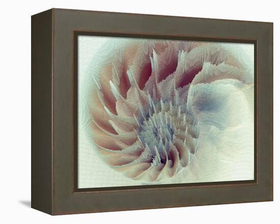 Digital Nautilus-null-Framed Stretched Canvas