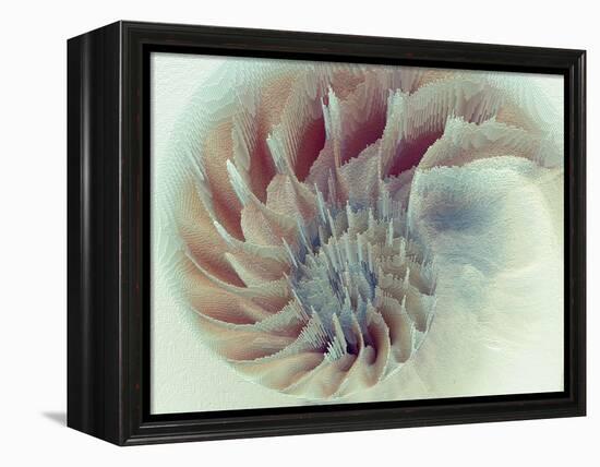 Digital Nautilus-null-Framed Stretched Canvas