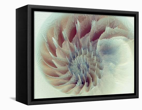 Digital Nautilus-null-Framed Stretched Canvas