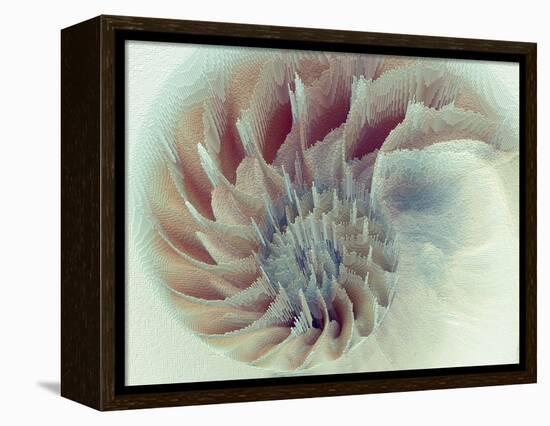 Digital Nautilus-null-Framed Stretched Canvas