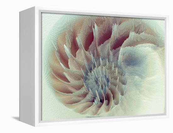 Digital Nautilus-null-Framed Stretched Canvas