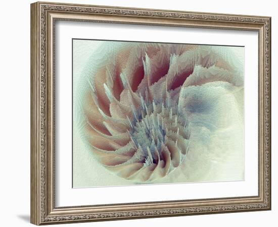 Digital Nautilus-null-Framed Art Print