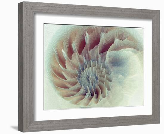 Digital Nautilus-null-Framed Art Print