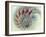 Digital Nautilus-null-Framed Art Print