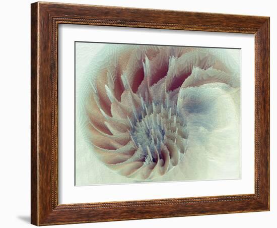 Digital Nautilus-null-Framed Art Print