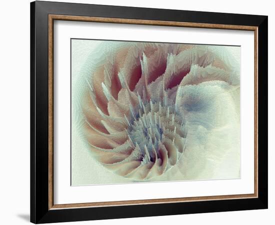 Digital Nautilus-null-Framed Art Print