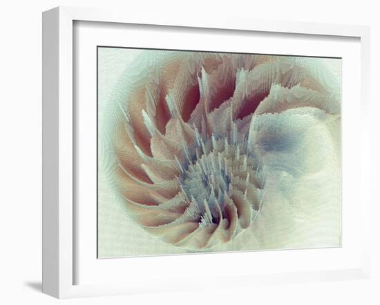 Digital Nautilus-null-Framed Art Print