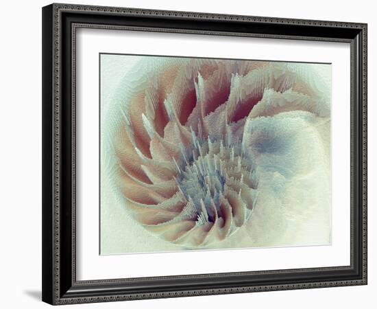 Digital Nautilus-null-Framed Art Print