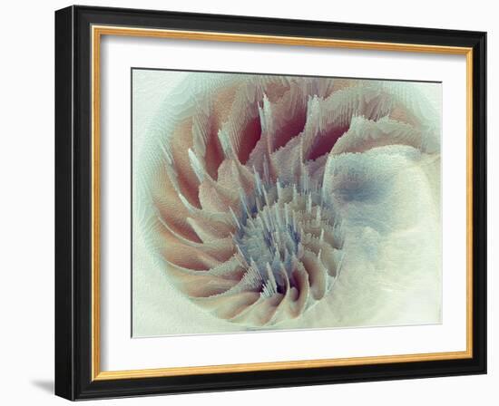 Digital Nautilus-null-Framed Art Print