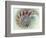 Digital Nautilus-null-Framed Premium Giclee Print