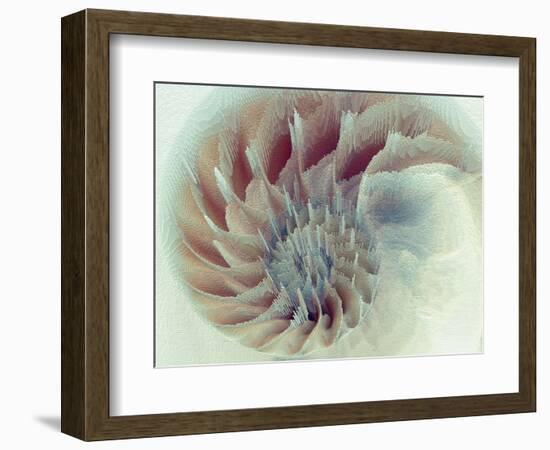 Digital Nautilus-null-Framed Premium Giclee Print